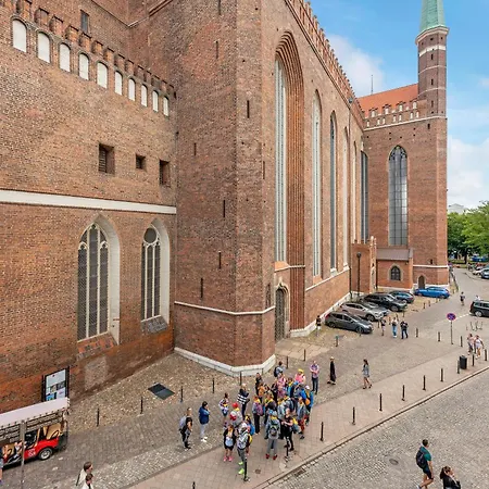 Wave White Pearl In *